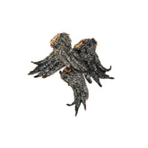 Crocodile feet dog treat natural air dried single protein chew great for dental health and jaw strength